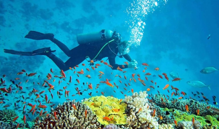 Andaman & Nicobar Islands