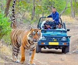 Uttarakhand Delight